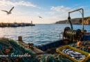 📽️ O Mar Português: Entre a Tradição Milenar e os Desafios da Sustentabilidade